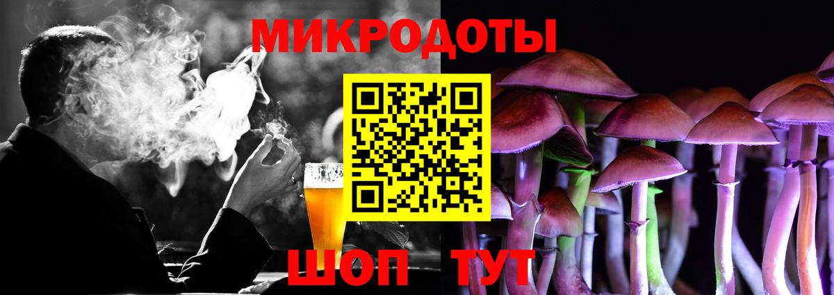 Псилоцибиновые грибы Psilocybe Ноябрьск