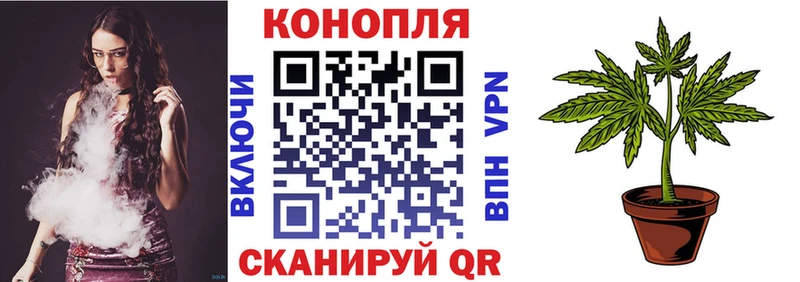 Бошки марихуана марихуана  Ноябрьск 